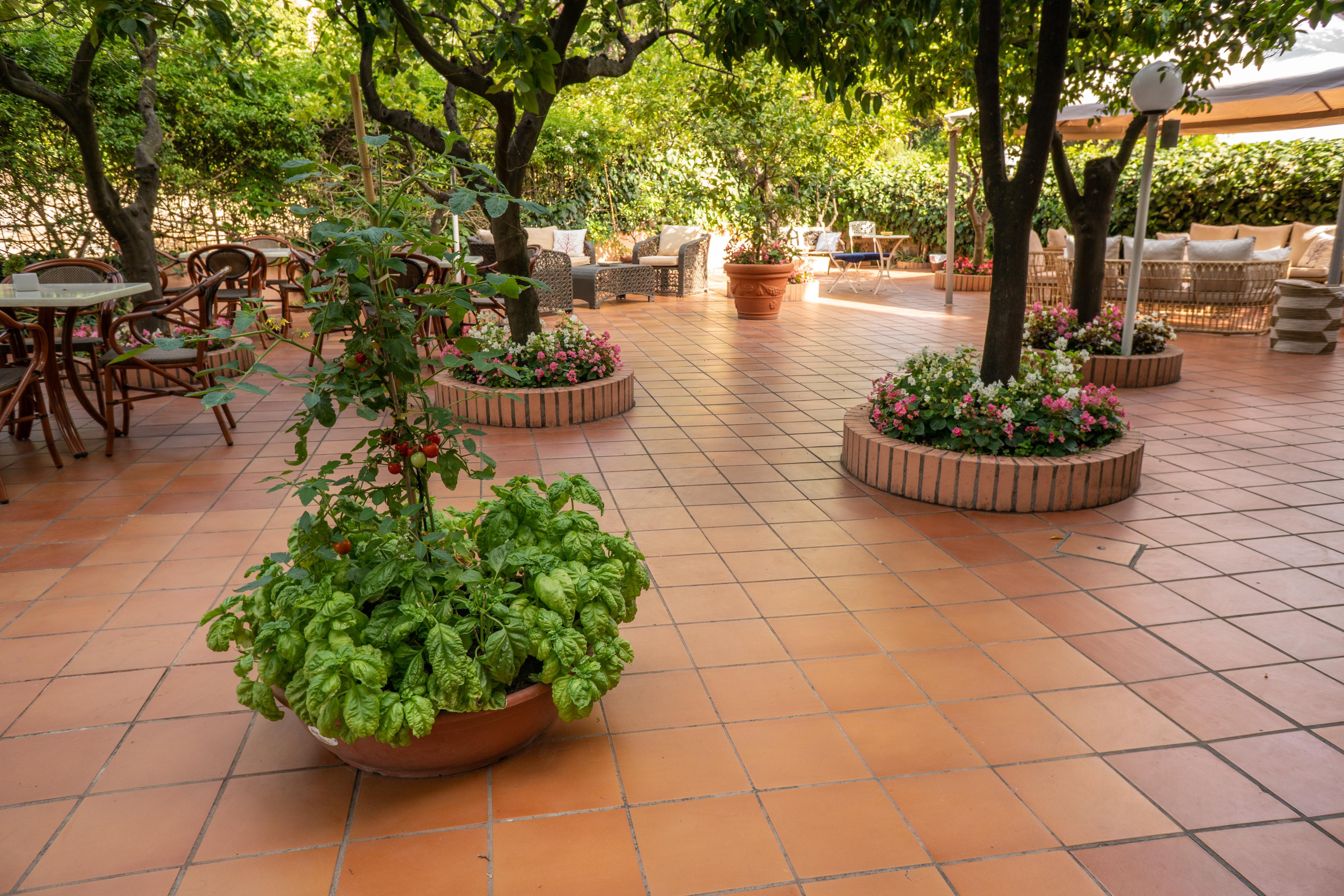 Boutique Hotel Regina Sorrento Ngoại thất bức ảnh